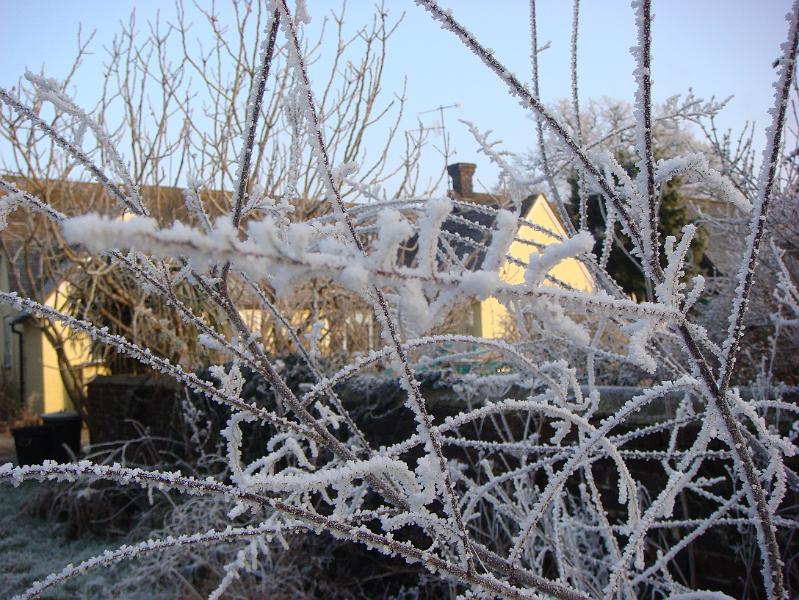 Wychcroft 2009 007.jpg